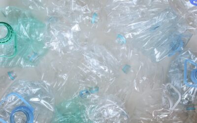 Squashed plastic bottles