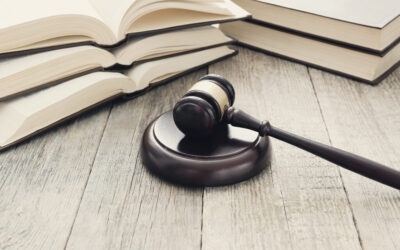 Court Case Questioning Director's Duty