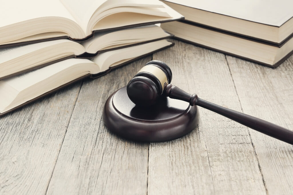 Court Case Questioning Director's Duty