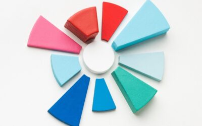 Pie Chart Representing Minority Shareholders