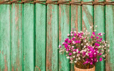 Garden Fence and Boundary Disputes